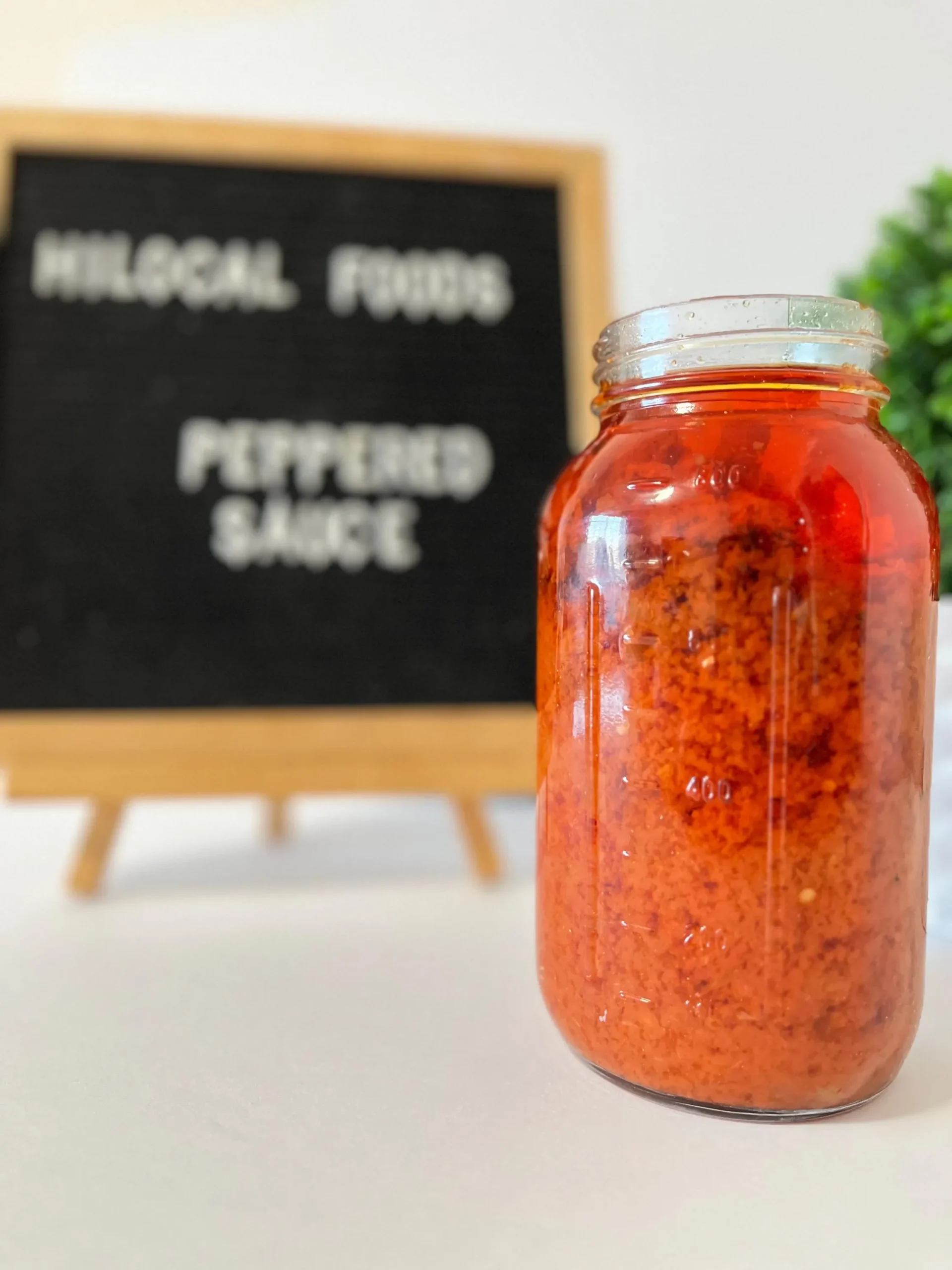 handpicked red chillies handpicked red chillies